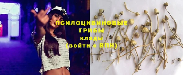 твердый Баксан
