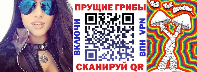 где можно купить   Кяхта  Галлюциногенные грибы Psilocybe 